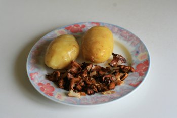 к вареному картофелю добавить грибы