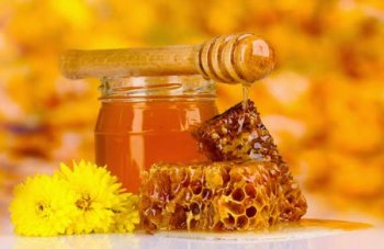 Полезные свойства меда, советы по выбору