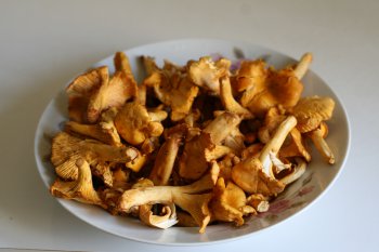 подготовить грибы (любые), очистить их и тщательно промыть