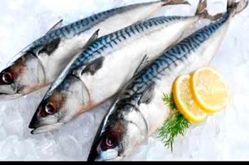 Общие сведения о рыбе и рыбных продуктах